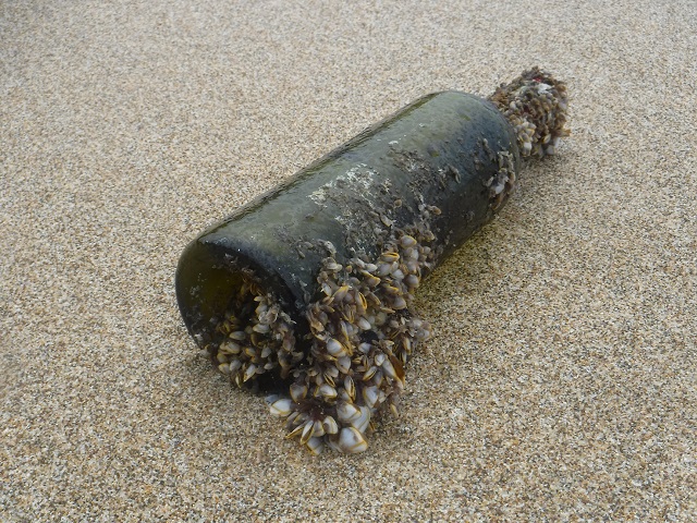 Bottle on beach