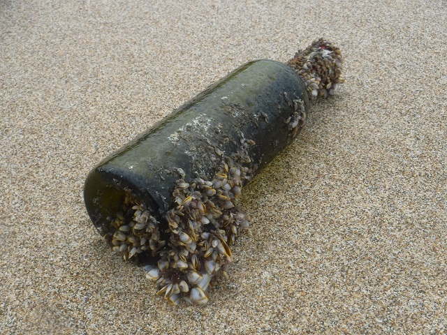 Bottle on beach