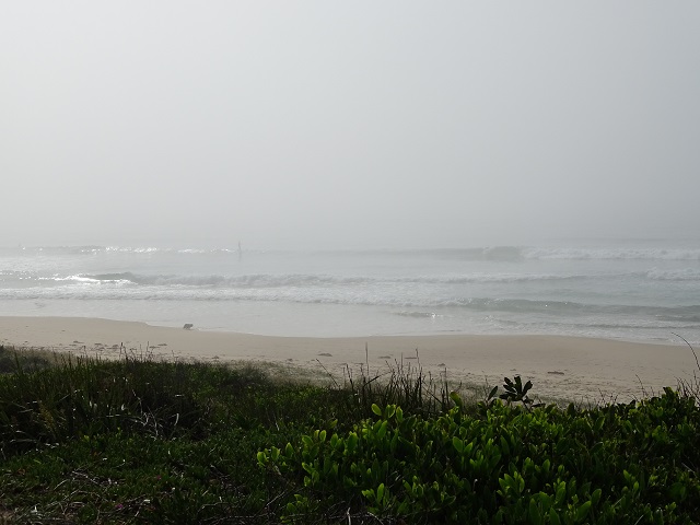 Beach and fog