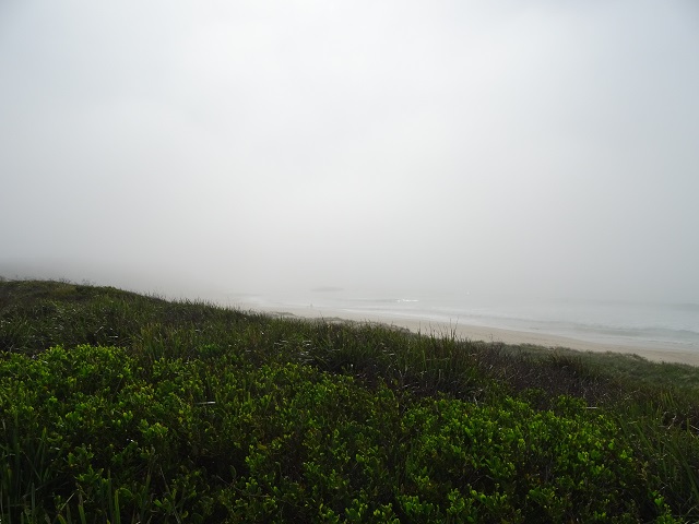 Beach and fog