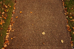 Footpath and Leaves