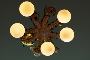 Octopus Chandelier